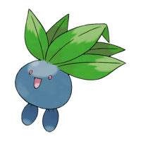 ナゾノクサ画像