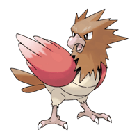 オニスズメ画像