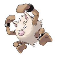 オコリザル画像