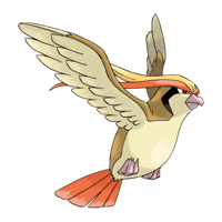 ピジョット画像