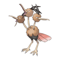 ドードリオ画像