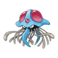 ドククラゲ画像