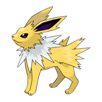 サンダース画像