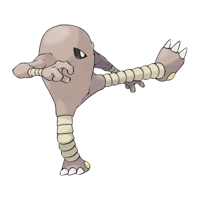 サワムラー画像