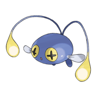 チョンチー画像