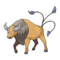 ケンタロス画像