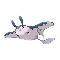 マンタイン画像