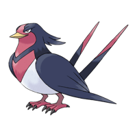 オオスバメ画像