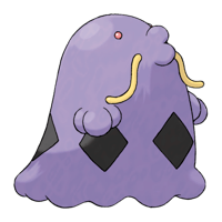 マルノーム画像