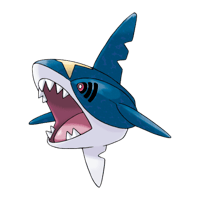 サメハダー画像