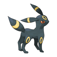 ブラッキー画像