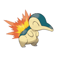 ヒノアラシ画像