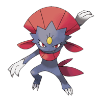 マニューラ画像