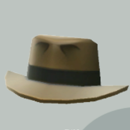 トレジャーハット画像