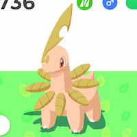 ベイリーフのアイコン