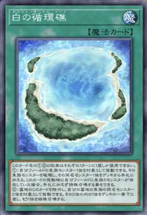 白の循環礁画像