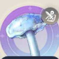 クラゲタケの画像