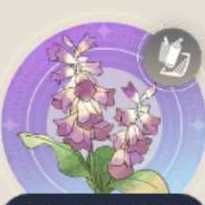 トキシラセの画像