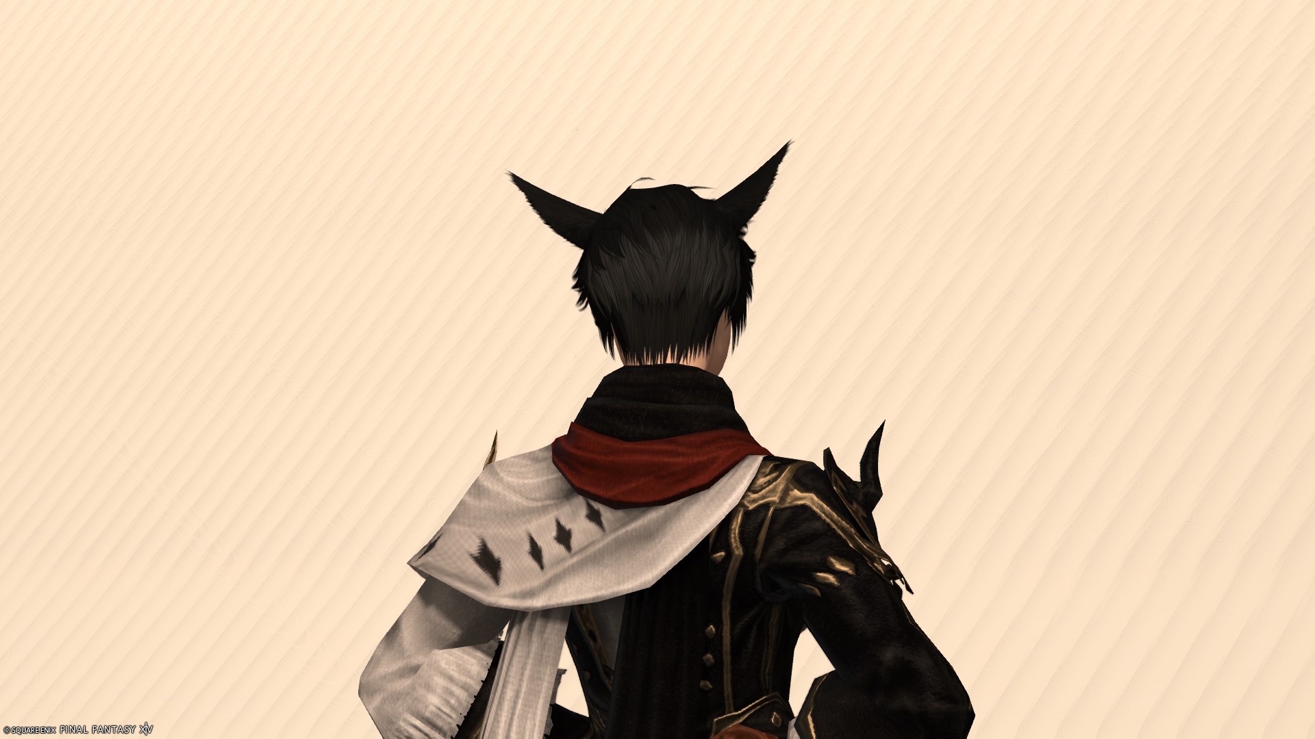 ソフトツーブロック後ろ