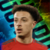 HPイーサンアンパドゥ(08/19)画像