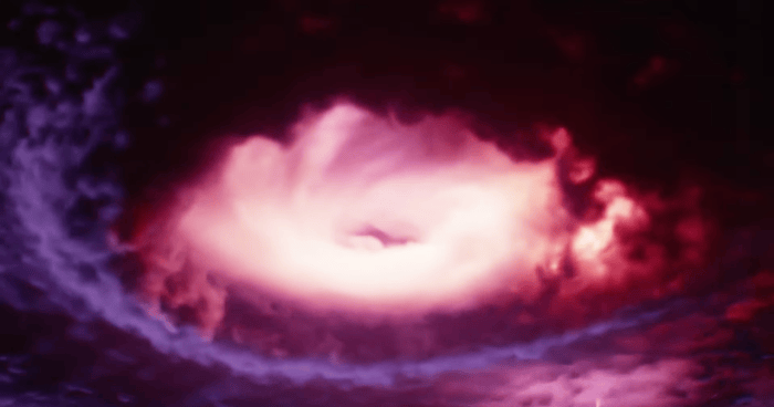 ダイマックス登場