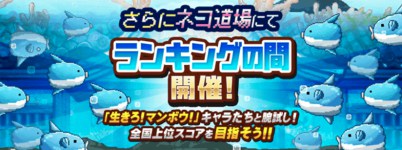 ランキングの間