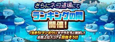 ランキングの間