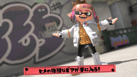 ヒメamiiboのギア