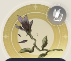 ドライフラワーの画像