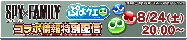 ぷよクエ『SPY×FAMILY』コラボ情報特別配信 バナー