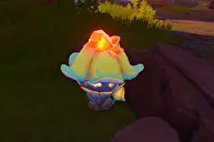 キャンドルキノコ