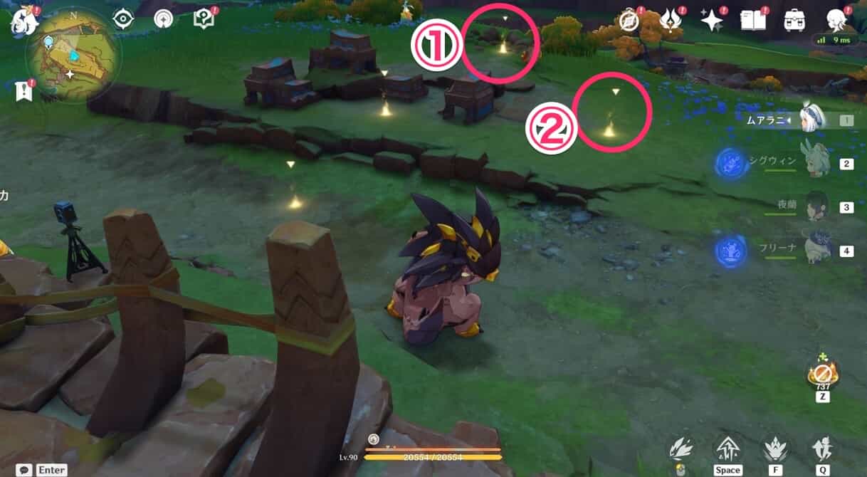 映影を撮ろう！