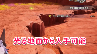 ゴールドクローバー