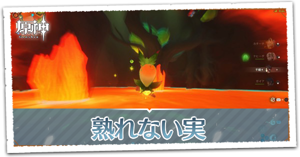 熟れない実の画像