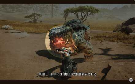 傷口の強調表示