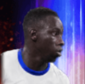 HPヤンクバミンテー(08/29)画像