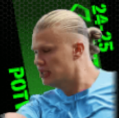 TPアーリングハーランド(08/29)画像