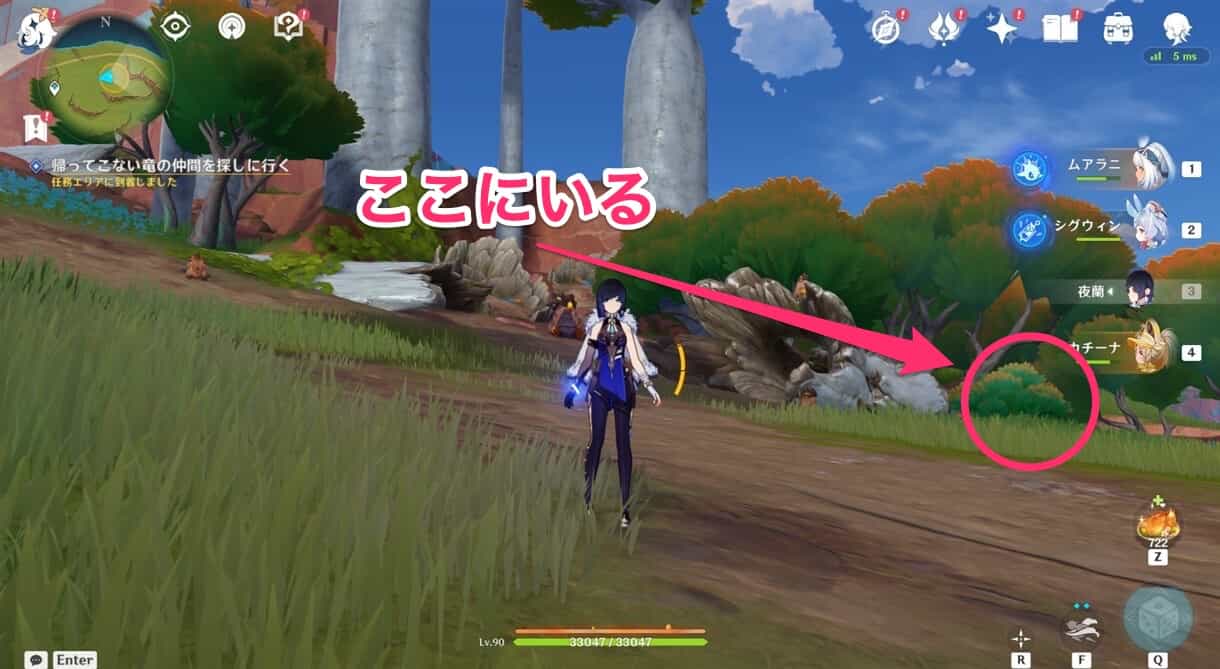 テペトル竜のかくれんぼ