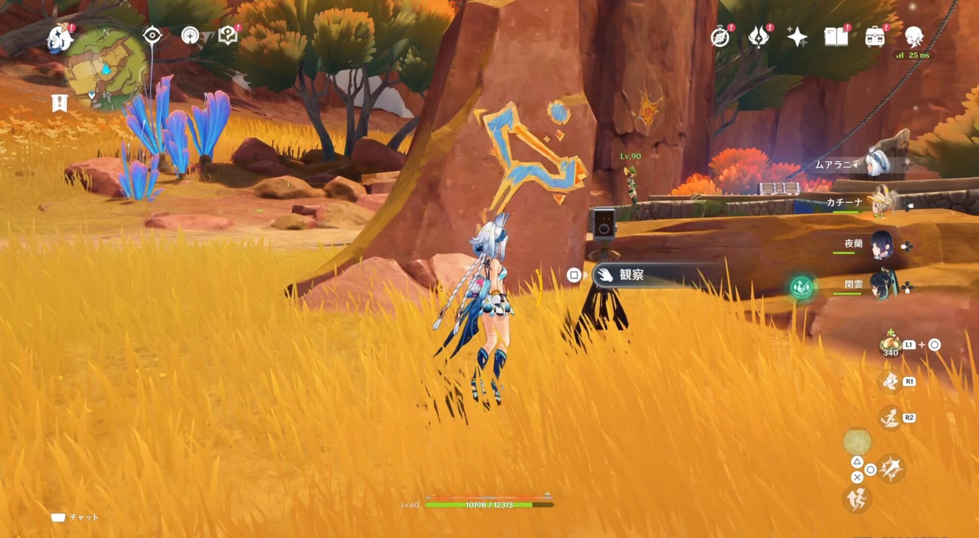 ラクガキの描かれた石の場所③