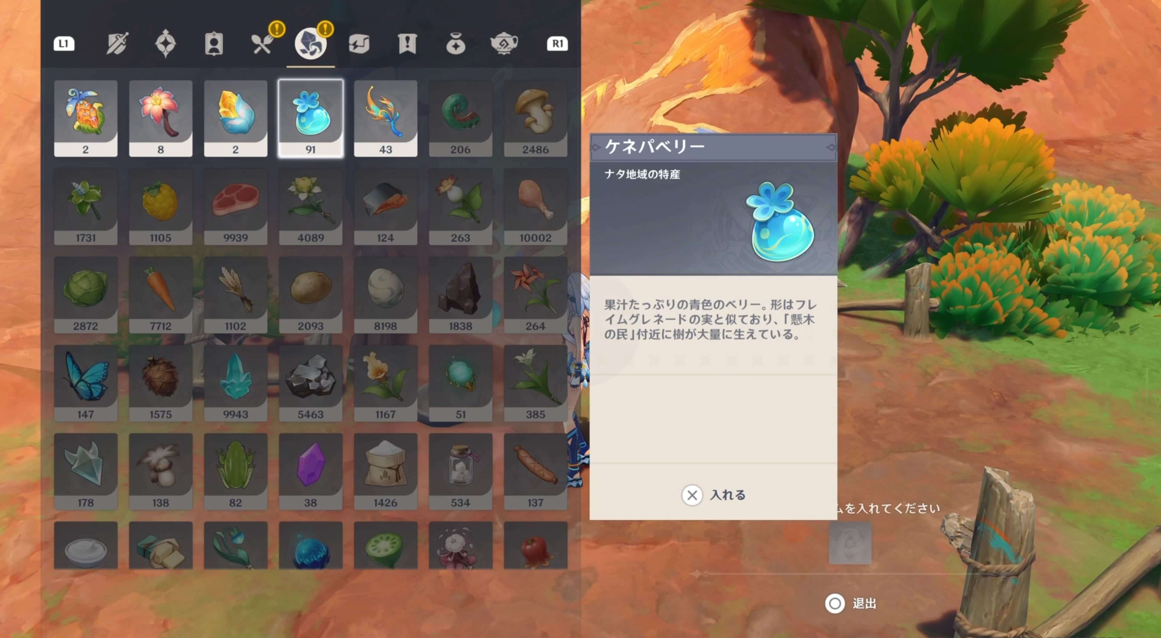 ラクガキの描かれた石の場所②