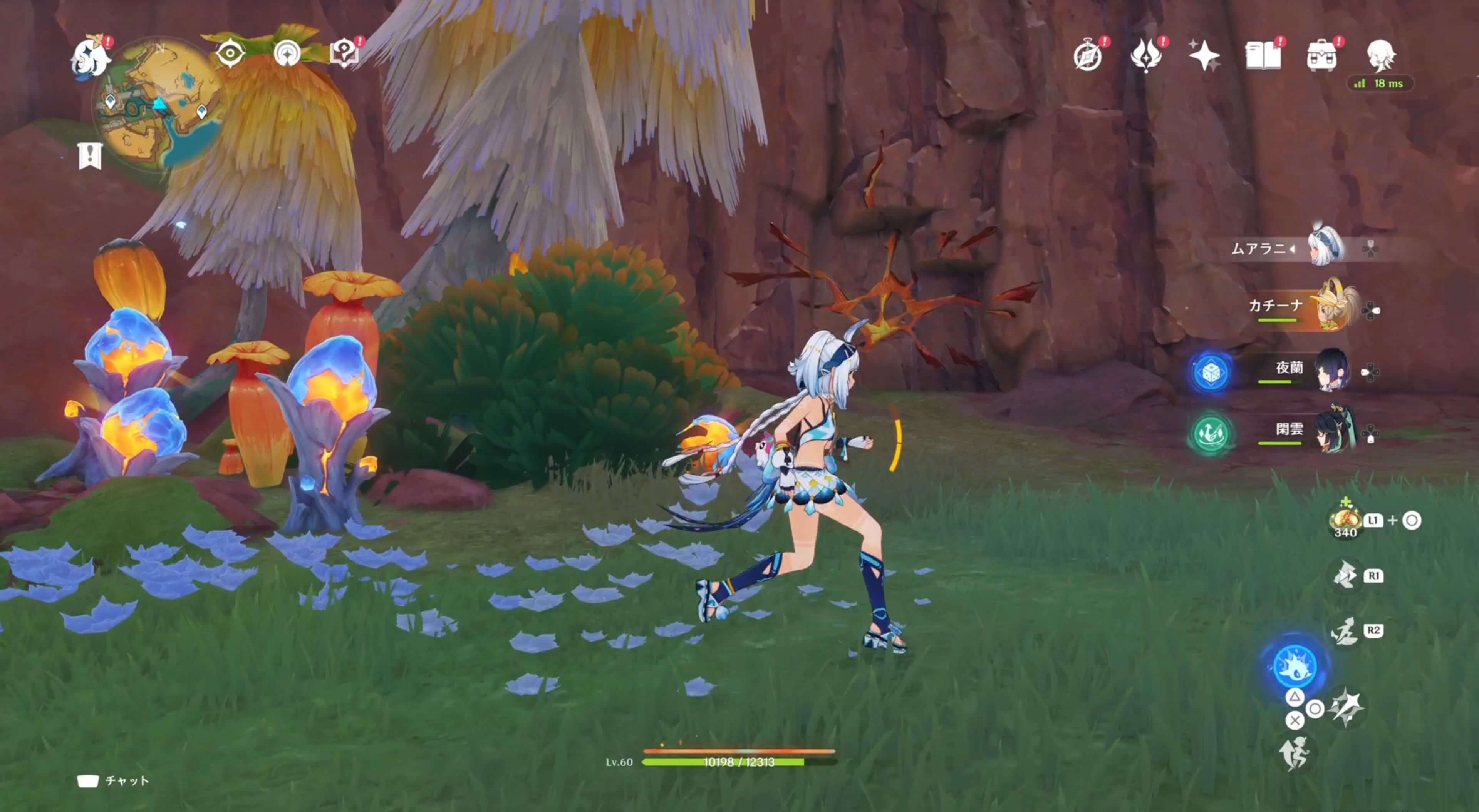 ラクガキの描かれた石の場所④