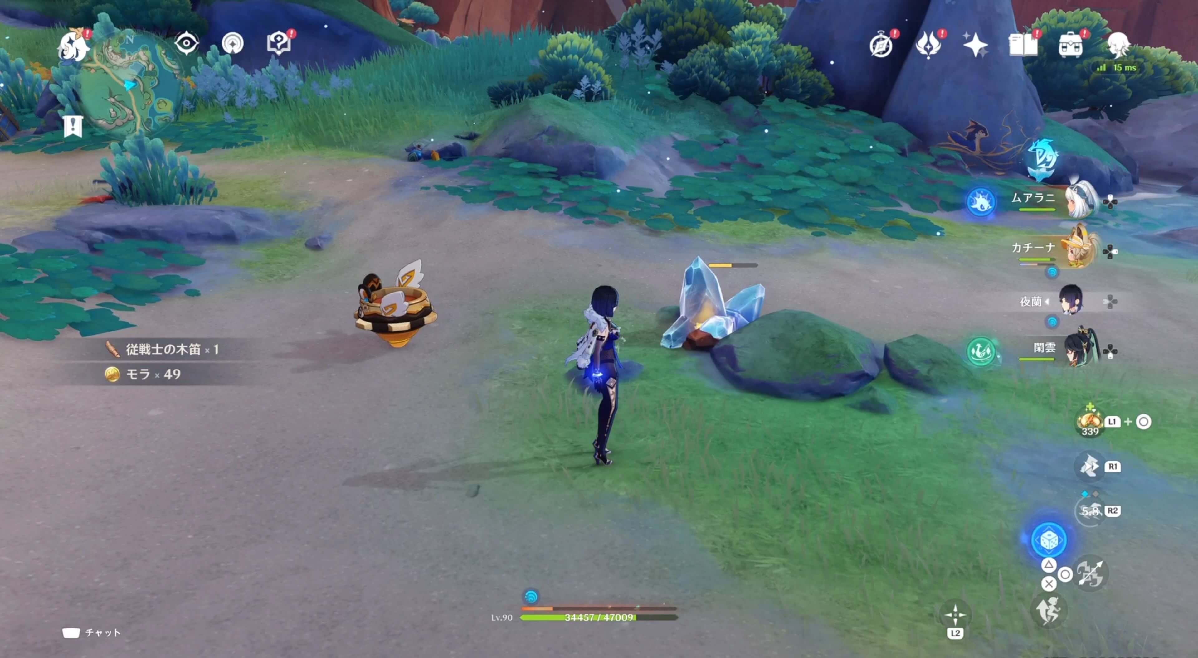 ラクガキの描かれた石の場所⑥