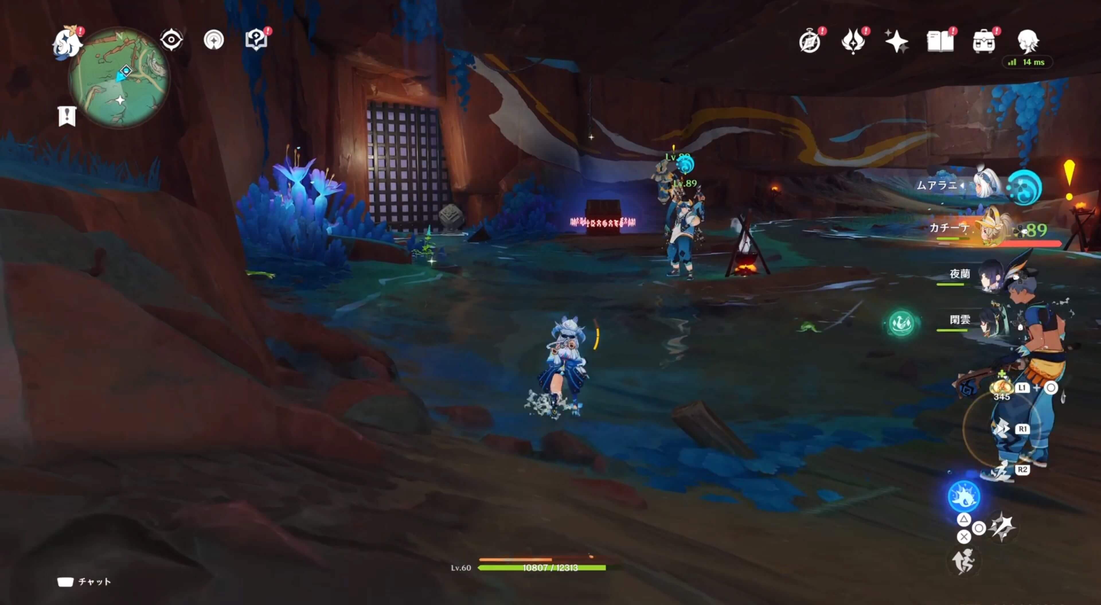 バラチコの出現場所