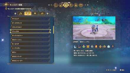 ジャッカルの見た目