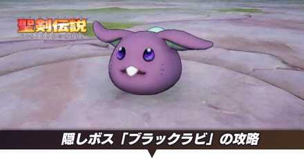 ブラックラビ攻略