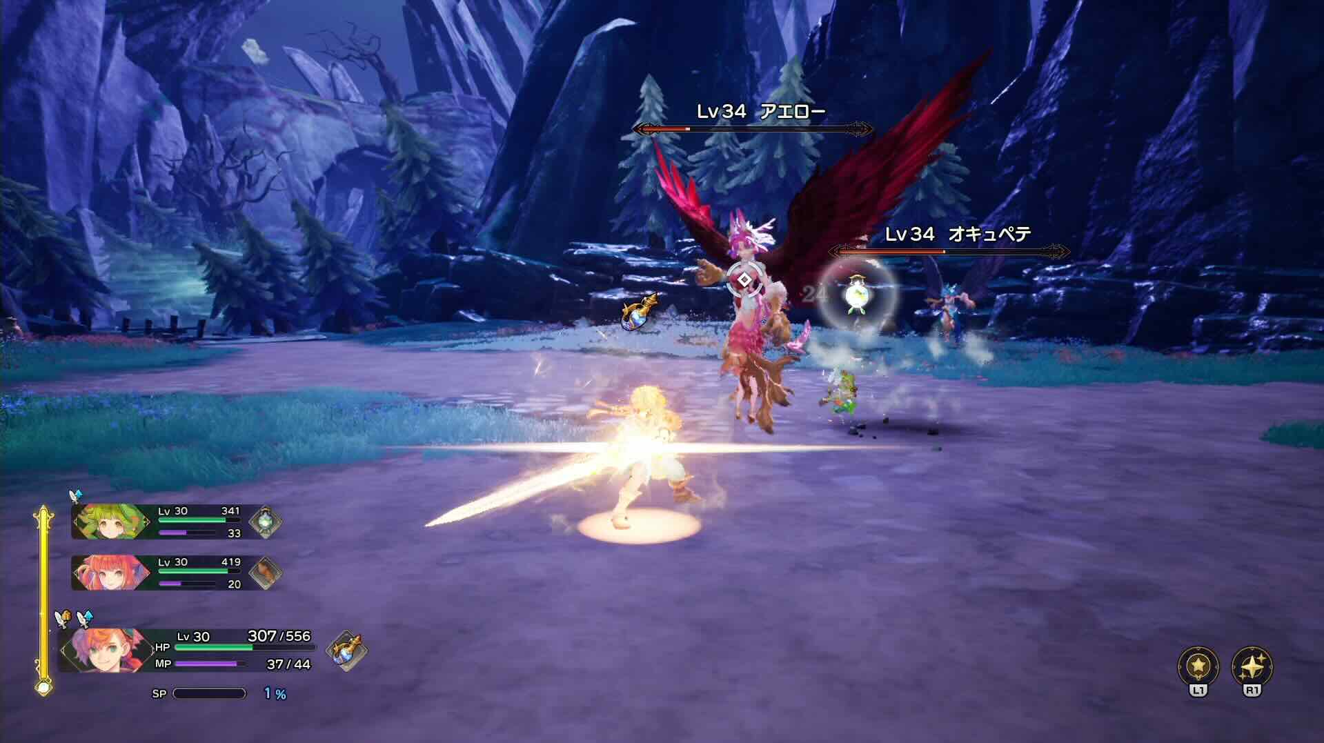 常に2匹を視界にいれることを意識して戦う