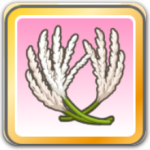 大きくてつやつや画像