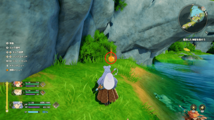 シープブロッコリーの場所2