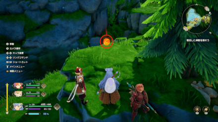 シープブロッコリーの場所4