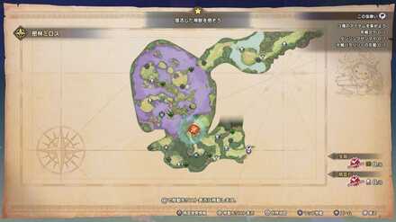 ダンシングゼンマイの場所